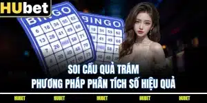 Soi Cầu Quả Trám - Phương Pháp Phân Tích Số Hiệu Quả